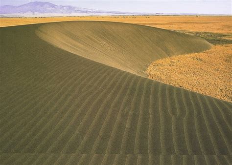 Will the Widespread Wanderer Survive Our World's Shifting Sands?